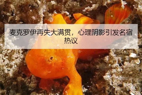 mai-ke-luo-yi-zai-shi-da-man-guan-xin-li-yin-ying-yin-fa-ming-su-re-yi-3-762.jpg