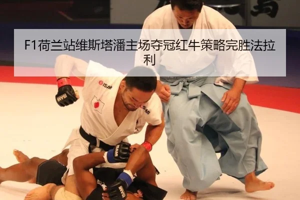 F1荷兰站维斯塔潘主场夺冠红牛策略完胜法拉利