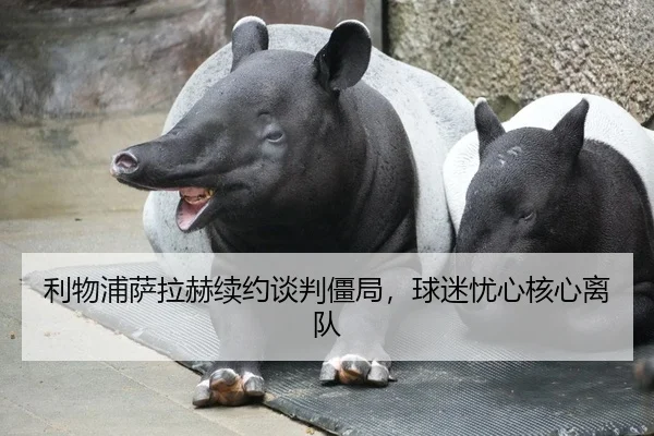 利物浦萨拉赫续约谈判僵局，球迷忧心核心离队